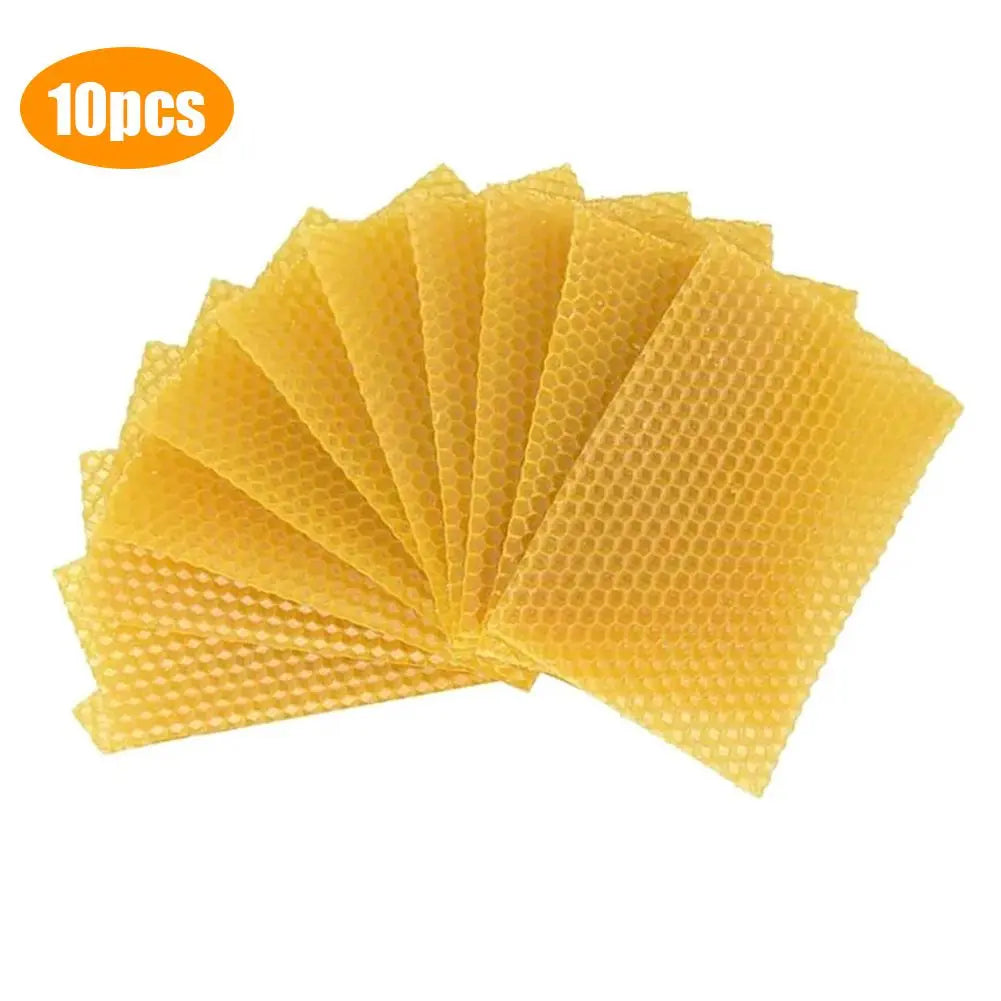 10Pcs Wax foundation sheets