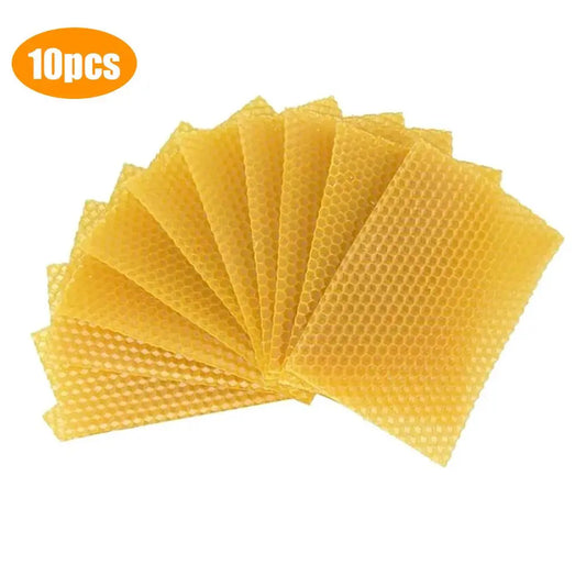 10Pcs Wax foundation sheets